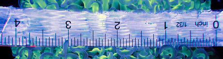 WYSIWYG Blue Tip Green Wall Hammer
