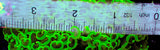 WYSIWYG Bright Green Wall Hammer