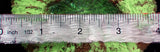 WYSIWYG Lobo Yellow Green Burgundy Stripes 4in