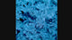 Pulsing Xenia (Full Frag)